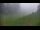 Webcam in Zieleniec, 12.1 km