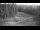 Webcam in Zieleniec, 0 km
