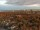 Webcam in Anchorage, Alaska, 778.3 km entfernt