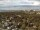 Webcam in Anchorage, Alaska, 435.9 km entfernt