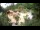 Webcam in Rzyki, 19.6 km entfernt