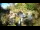 Webcam in Rzyki, 16.9 km