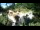 Webcam in Rzyki, 48.5 km
