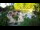 Webcam in Rzyki, 48.8 km entfernt