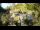 Webcam in Rzyki, 22.5 mi away