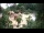 Webcam in Rzyki, 49 km