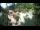 Webcam in Rzyki, 12.5 km