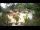 Webcam in Rzyki, 18.9 km