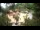 Webcam in Rzyki, 11.8 km
