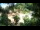 Webcam in Rzyki, 48.3 km