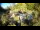 Webcam in Rzyki, 22.5 mi away