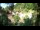 Webcam in Rzyki, 22.5 mi away