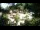 Webcam in Rzyki, 22.5 mi away