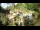 Webcam in Rzyki, 49.1 km