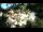 Webcam in Rzyki, 18.9 km entfernt