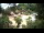 Webcam in Rzyki, 48.3 km