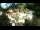 Webcam in Rzyki, 11.8 km