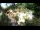 Webcam in Rzyki, 39.9 km