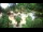 Webcam in Rzyki, 18.9 km entfernt