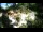 Webcam in Rzyki, 19.6 km