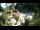Webcam in Rzyki, 48.8 km