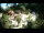 Webcam in Rzyki, 48.8 km