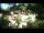 Webcam in Rzyki, 22.5 mi away