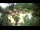 Webcam in Rzyki, 39.4 km entfernt