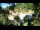 Webcam in Rzyki, 22.5 mi away