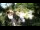 Webcam in Rzyki, 49.1 km