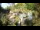 Webcam in Rzyki, 22.5 mi away