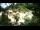 Webcam in Rzyki, 18.9 km entfernt
