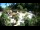 Webcam in Rzyki, 48.3 km