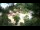 Webcam in Rzyki, 48.3 km