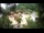 Webcam in Rzyki, 19 mi away