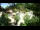 Webcam in Rzyki, 19 mi away