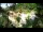 Webcam in Rzyki, 48.8 km entfernt