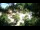 Webcam in Rzyki, 16.9 km
