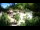 Webcam in Rzyki, 11.8 km