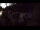 Webcam in Rzyki, 48.3 km