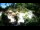 Webcam in Rzyki, 39.9 km entfernt