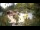 Webcam in Rzyki, 48.3 km