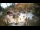 Webcam in Rzyki, 18.8 mi away