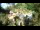 Webcam in Rzyki, 39.4 km