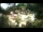 Webcam in Rzyki, 39.4 km