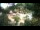 Webcam in Rzyki, 69.9 km