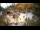 Webcam in Rzyki, 18.7 mi away