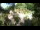 Webcam in Rzyki, 4.8 mi away