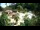 Webcam in Rzyki, 16.9 km