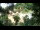 Webcam in Rzyki, 49.1 km
